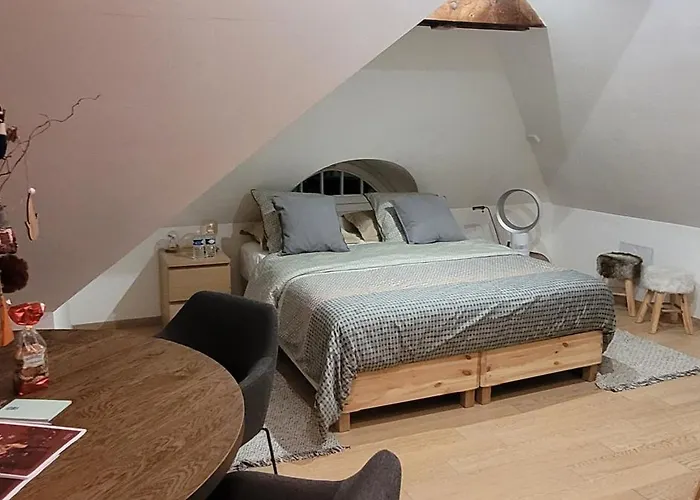 Studio 50M2 Au Bord De L\'Eau A Strasbourg