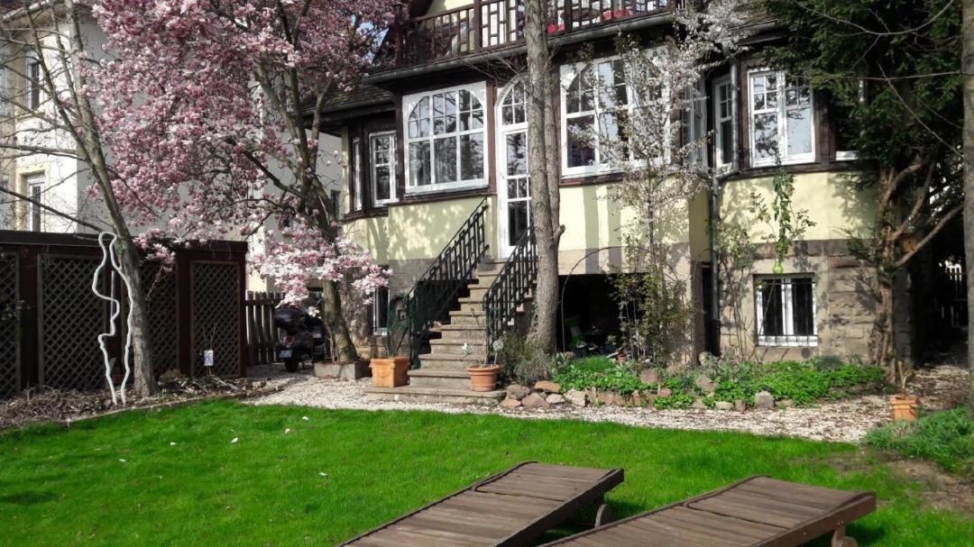 Privatunterkunft 50m2 Au Bord De L'eau A Straßburg