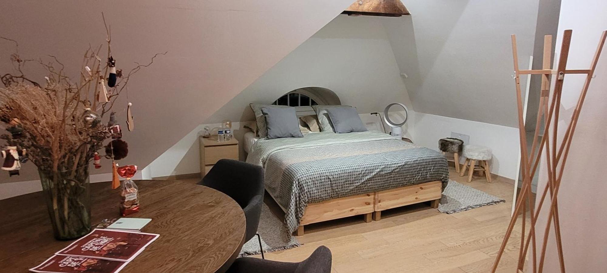 50m2 Au Bord De L'eau A * Straßburg